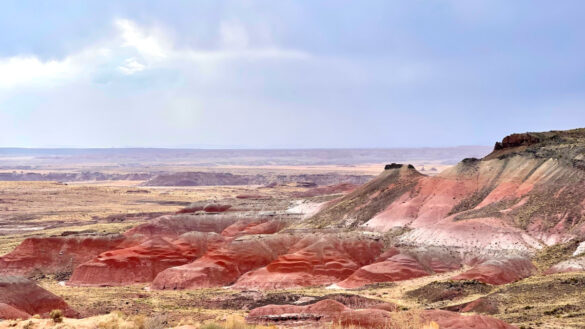 hotels near Petrified Forest National Park