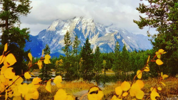 hotels near Grand Tetons