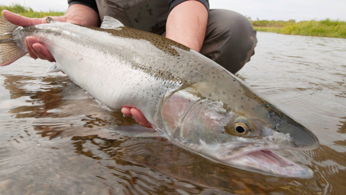 The Best Fly-Fishing Lodges in Alaska