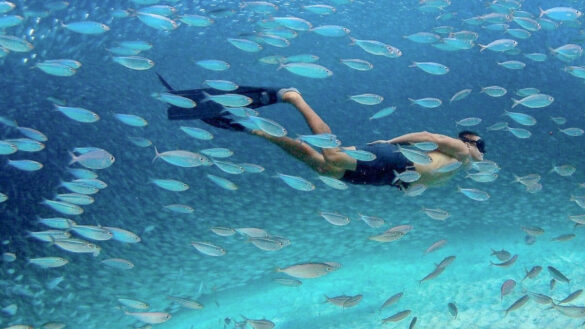 dive resorts in Bonaire